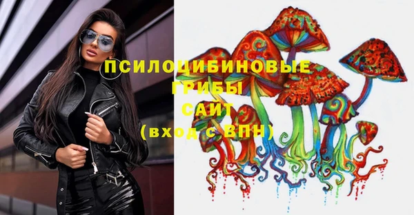 скорость Липки