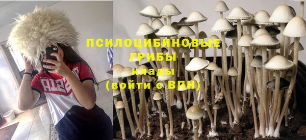 стафф Магадан